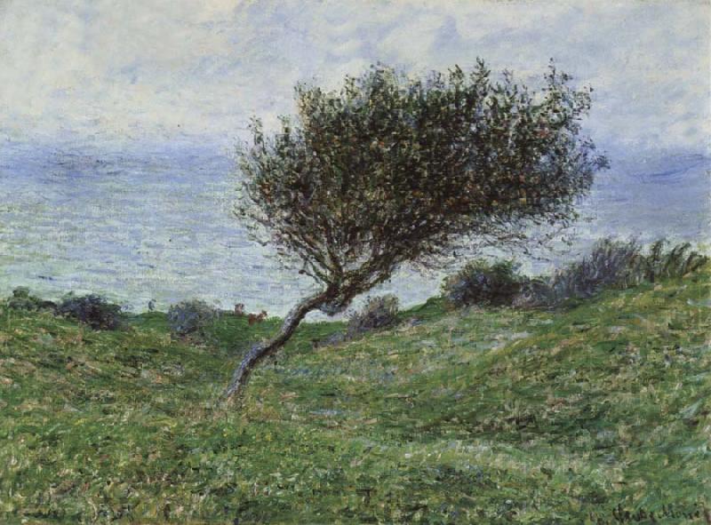 Claude Monet On the Coast at Trouville oil painting image